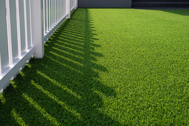 Artificial Turf Front Yard